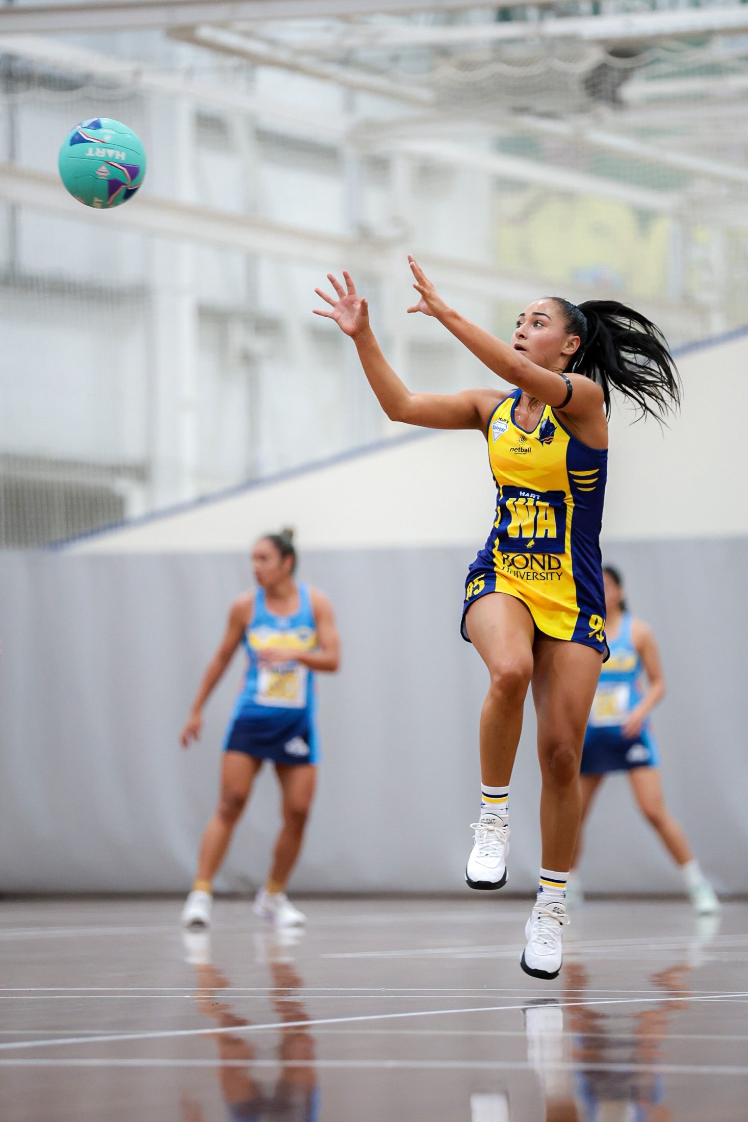 Bull Sharks triumph in clash with the Titans | Bond University | Gold ...