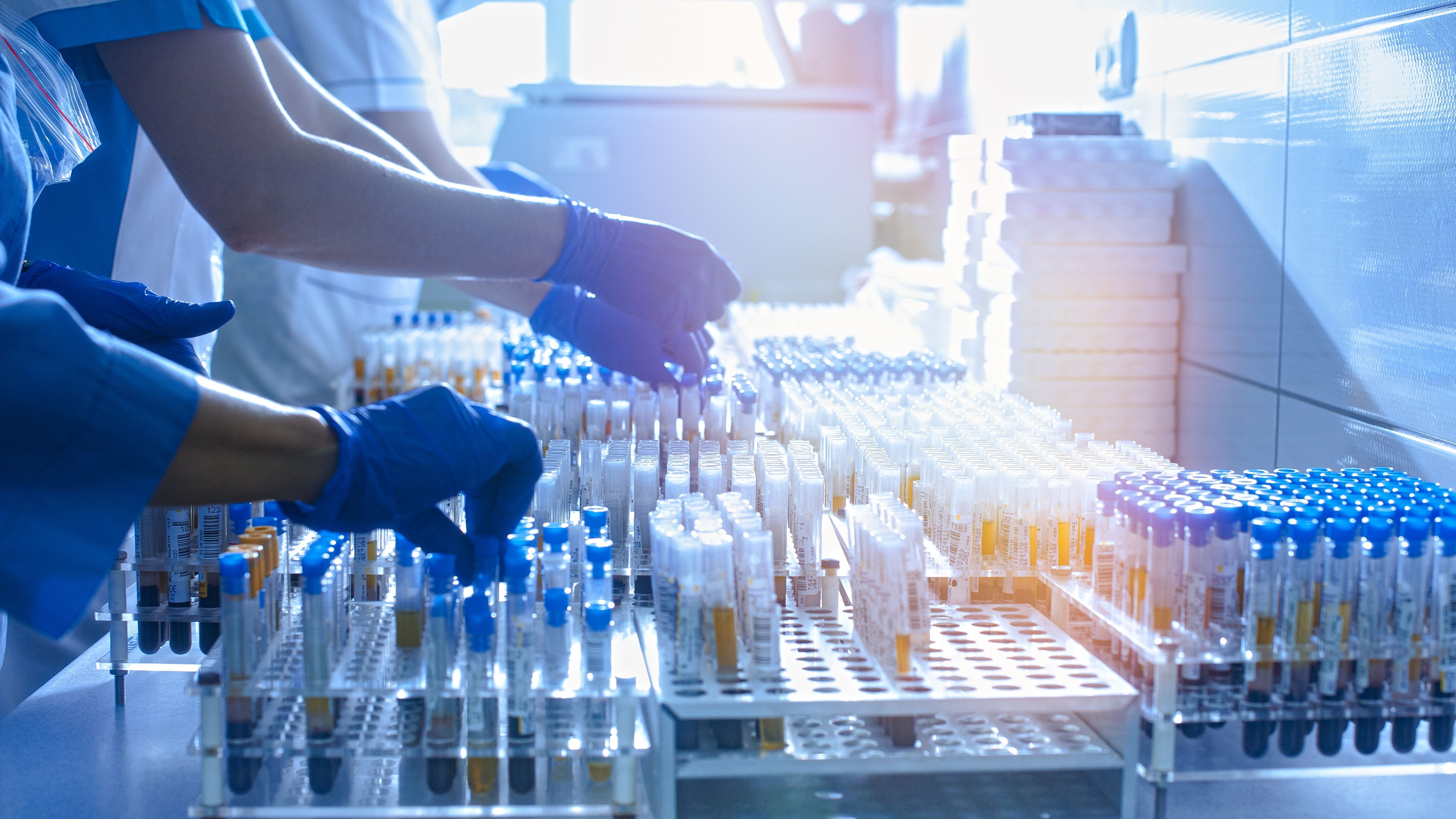 person holding silver and black hand tool