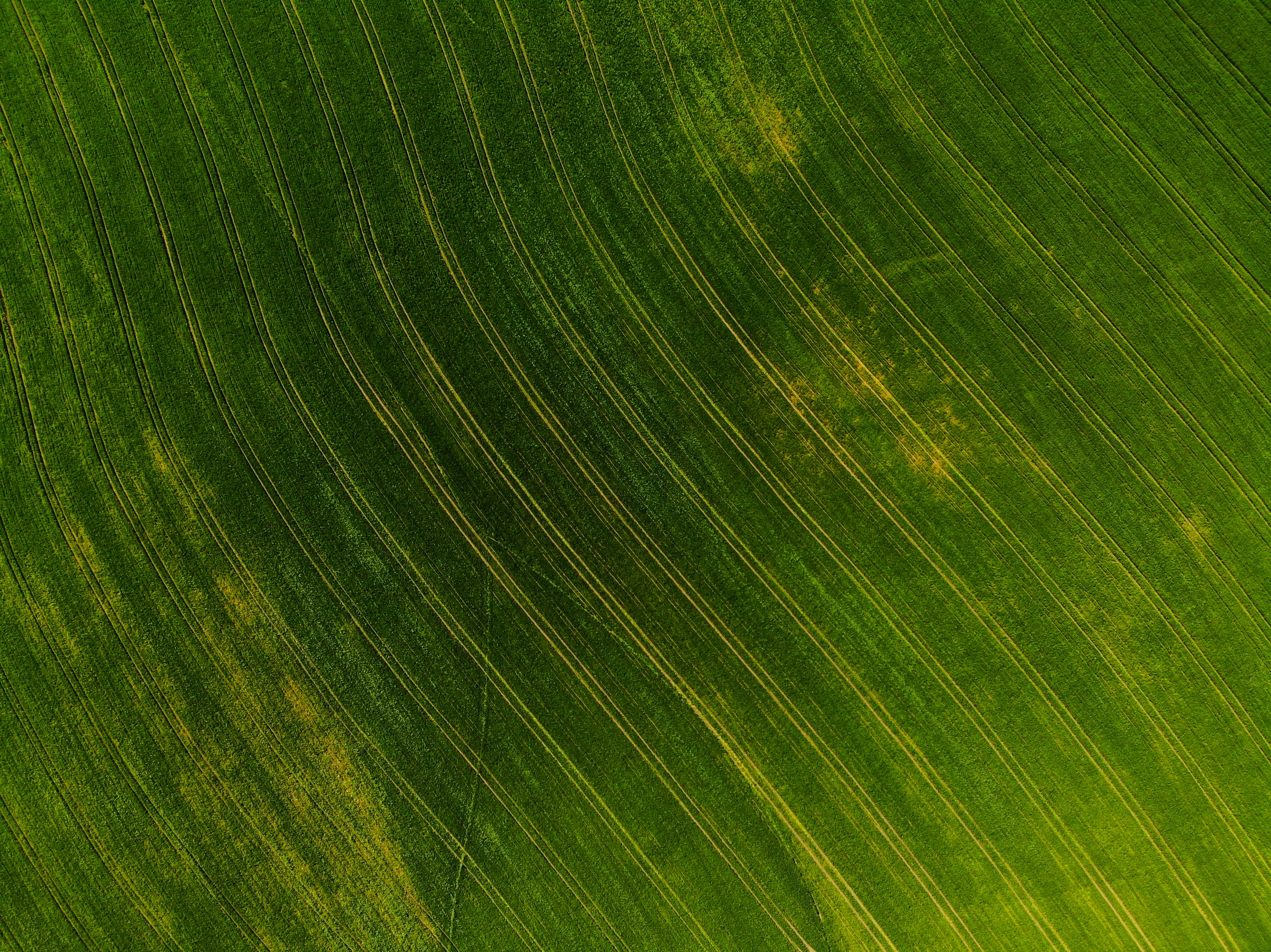 an aerial view of a green field