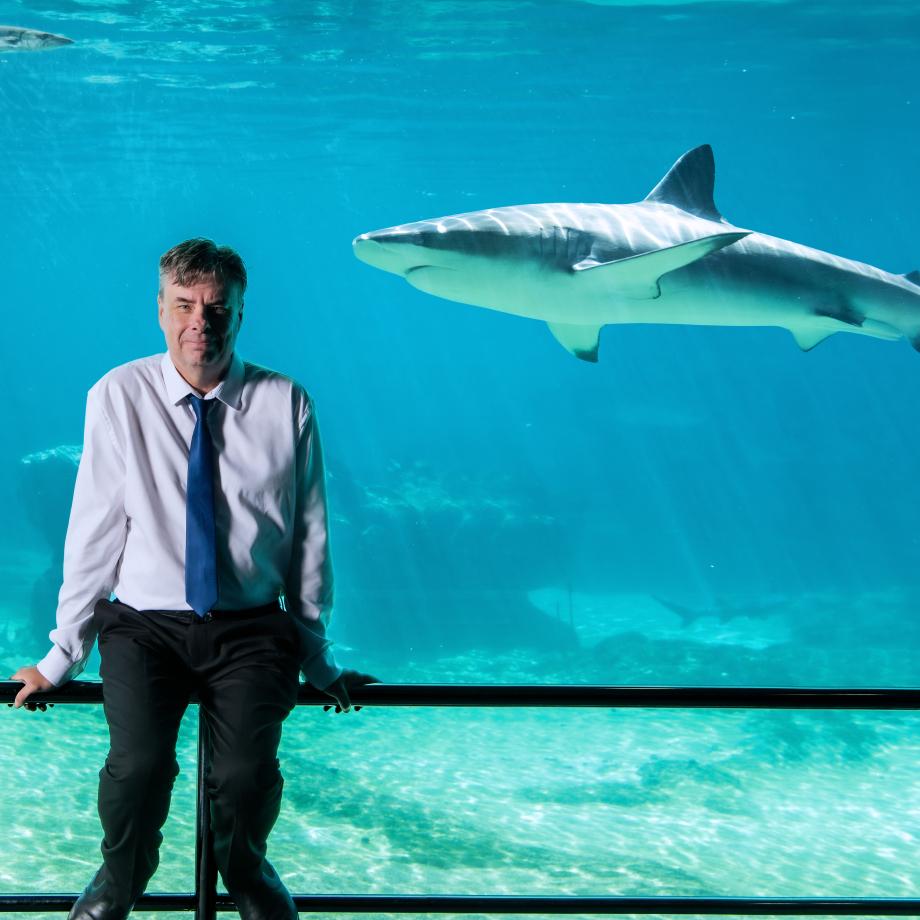 a man in front of a shark in a tank