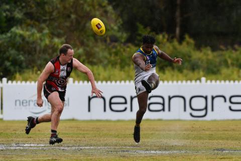 Bull Sharks in space