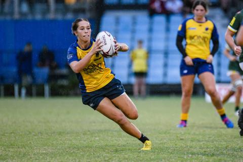 Bull Sharks player