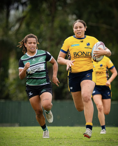 Bull Sharks v Sunnybank