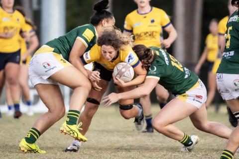 Bull Sharks v Wests