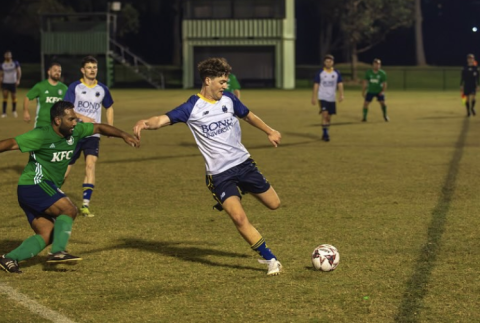 Bull Sharks soccer
