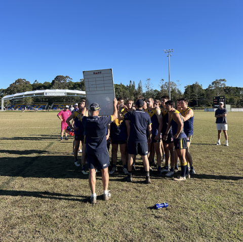 Bull Sharks QFA men