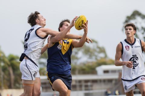 Bond University Bull Sharks AFL
