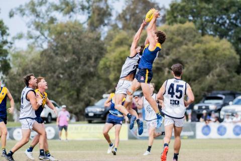 Bond University Bull Sharks AFL