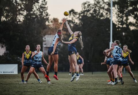 Bull Sharks v Coorparoo