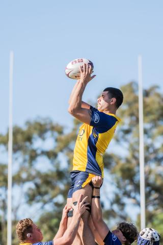 Wilson Parata