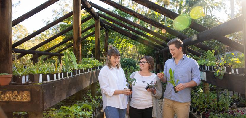 Three people holding plants at the Mudbrick Farm.