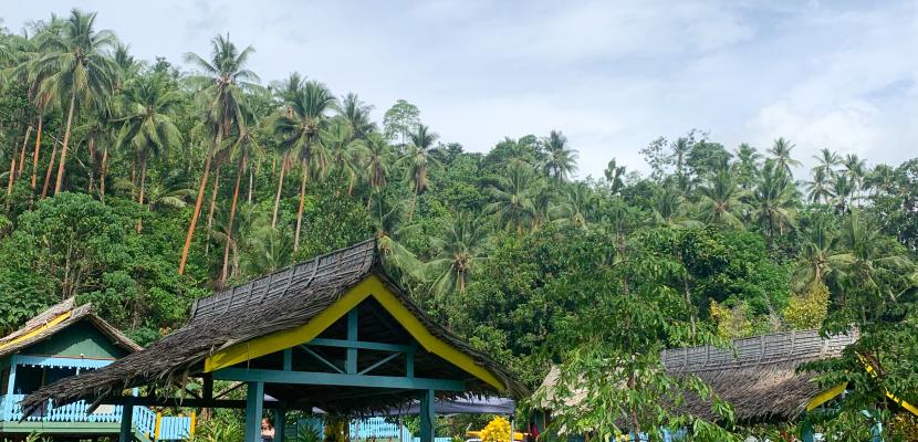 A small hut in front of lush green trees and grass