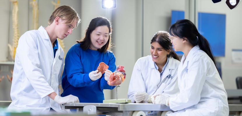 Medical students in the Anatomy Lab