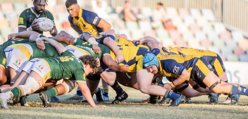 Bull Sharks v Wests