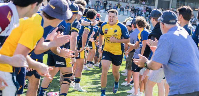 Bond University Bull Sharks rugby