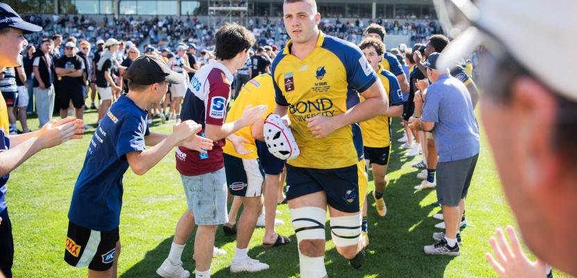 Bond University Bull Sharks rugby