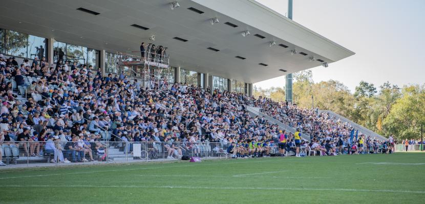 Bond University Bull Sharks rugby