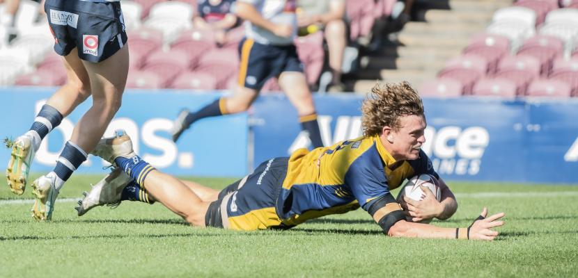 Bond University Bull Sharks rugby
