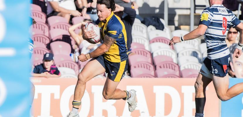 Bond University Bull Sharks rugby