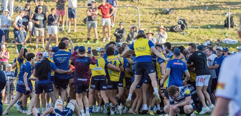 Bond University Bull Sharks rugby