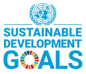 UN Sustainable Development Graphic