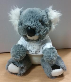 Stuffed toy koala wearing a Bond University outfit
